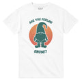 Are You Feeling Gnomi shirt
